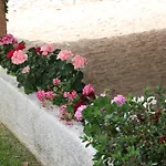 Casa Naves De Sto Antonio Ξενοδοχείο Alcafozes