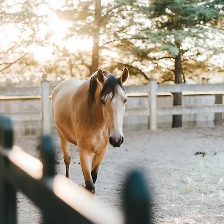 Hotel Casa Naves De Sto Antonio