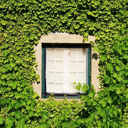Casa Naves De Sto Antonio Отель *