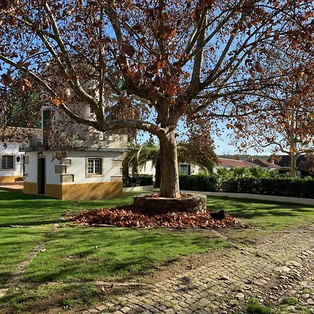 Casa Naves De Sto Antonio Hotel Alcafozes