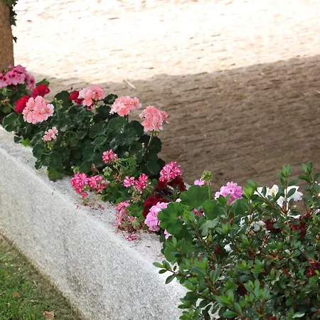 Casa Naves De Sto Antonio Hotel Alcafozes