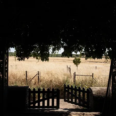 Casa Naves De Sto Antonio Alcafozes