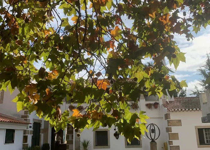 Casa Naves De Sto António Hotel