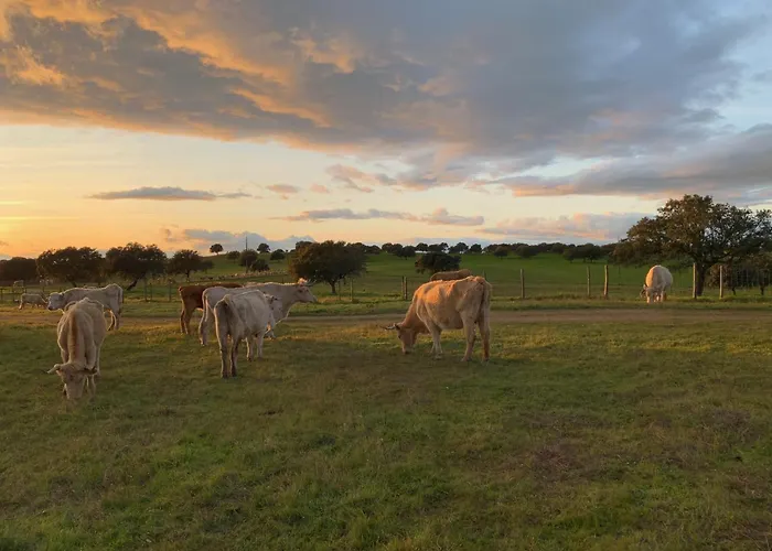 Casa Naves De Sto António * Alcafozes