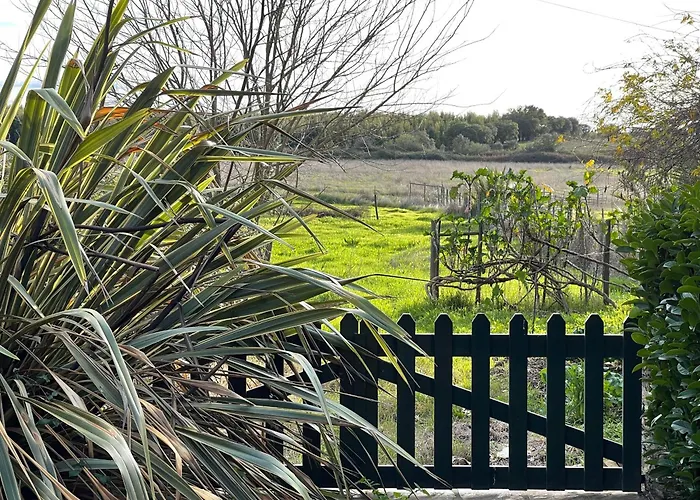 Casa Naves De Sto António * Alcafozes