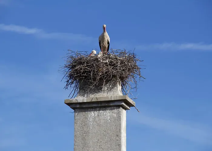 Casa Naves De Sto António Hotel