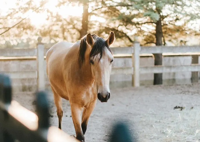 Hotel Casa Naves De Sto António