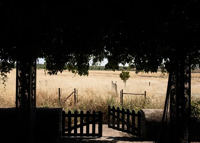 Casa Naves De Sto António Alcafozes