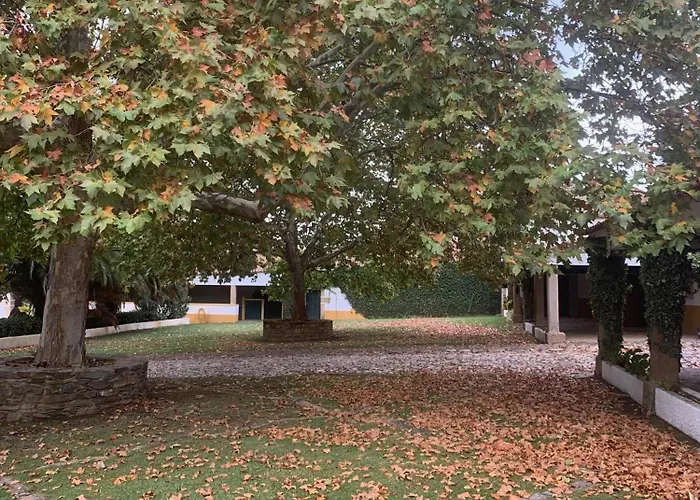 Casa Naves De Sto António Hotel Alcafozes